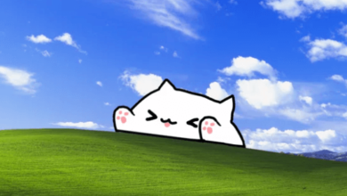 Art:9thaa-T1vm8= Bongo Cat