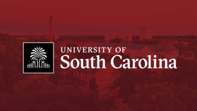 Logo:7a467zn-Kee= University of South Carolina