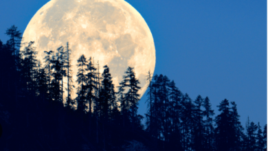 Blue Moon:Wojvgojgjom= Super Moon