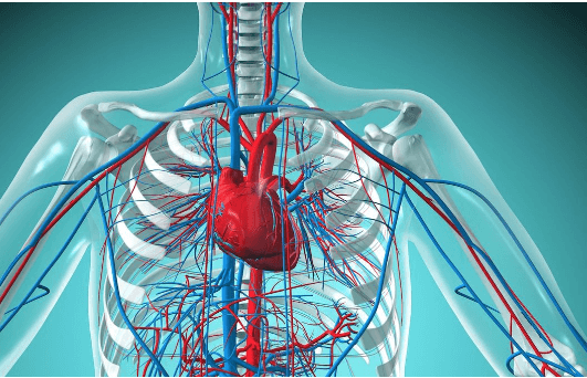 Drawing:16tykyk-J8c= Heart