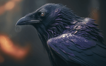 Bird:5n0ztekbthg= Ravens