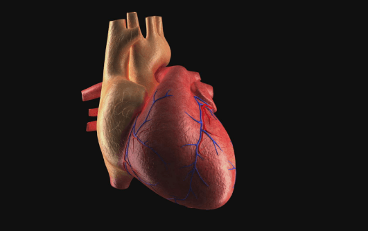 Drawing:16tykyk-J8c= Easy:5dv9s_Rnwia= Heart