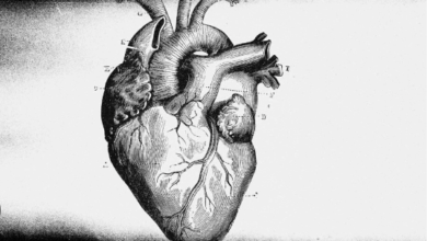 Drawing:16tykyk-J8c= Heart Images