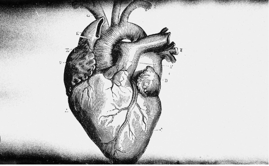 Drawing:16tykyk-J8c= Heart Images