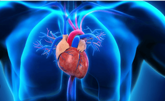 Drawing:16tykyk-J8c= Heart Images