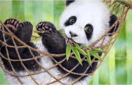 Cute:Xrdp1hlwwai= Panda