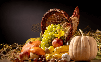 Clipart:-C6bicirzqe= Thanksgiving Cornucopia