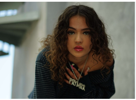 Prymrr Net Worth: Social Media Star's Financial Highlights