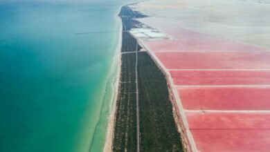 landea gr drives industry growth