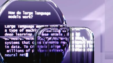 melorubia2 s digital transformation impact