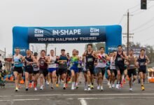 cross sector momentum index review