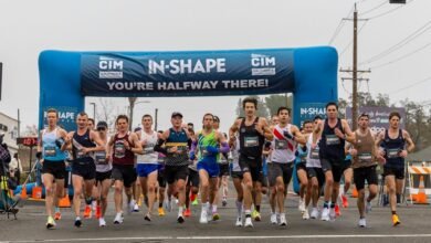 cross sector momentum index review