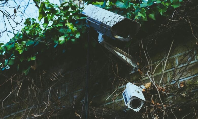 enterprise systems process evaluation