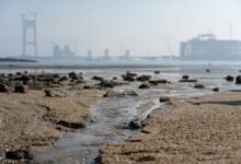 industry growth data overview