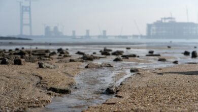 industry growth data overview