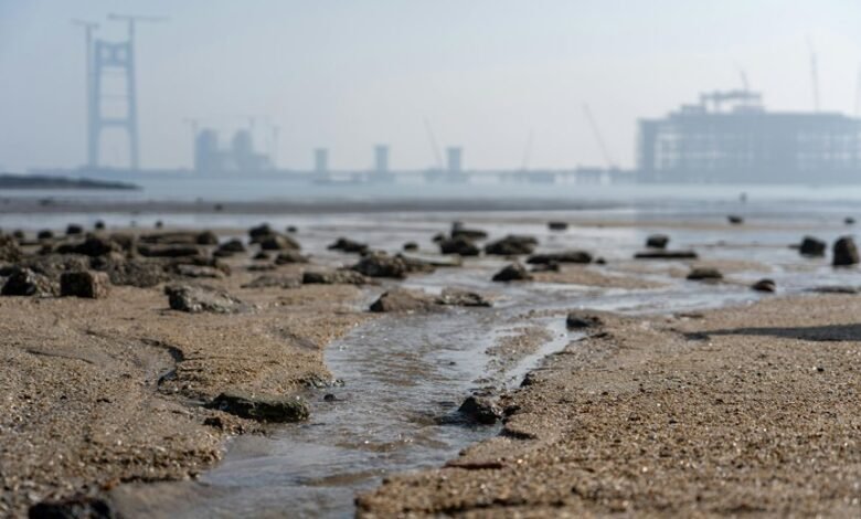 industry growth data overview