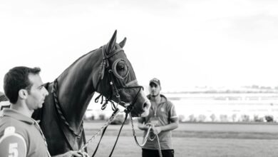 network coordination process evaluation