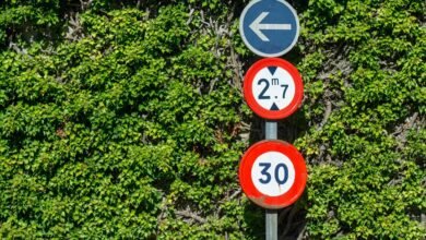 operational performance and growth