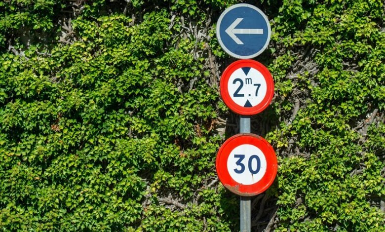 operational performance and growth