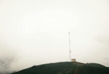 quantitative expansion signal ledger