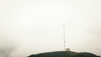 quantitative expansion signal ledger