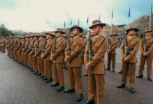 signal alignment strategic brief