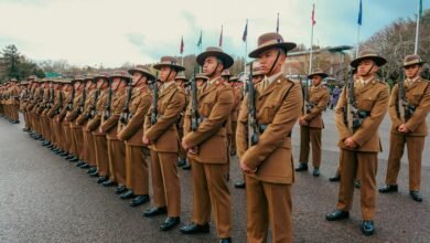 signal alignment strategic brief