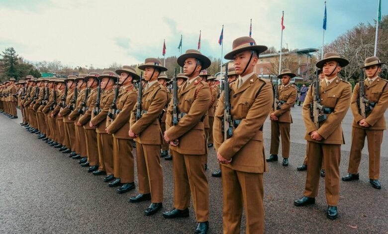 signal alignment strategic brief